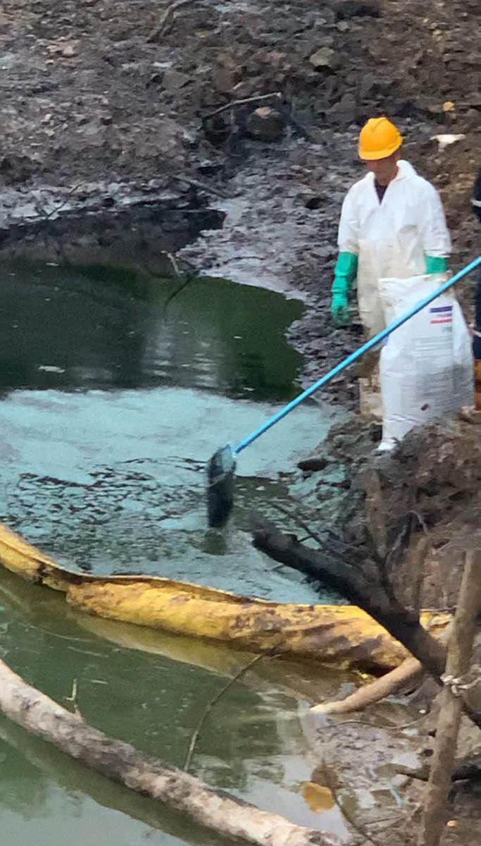 PROWEBST NEWS tweet media