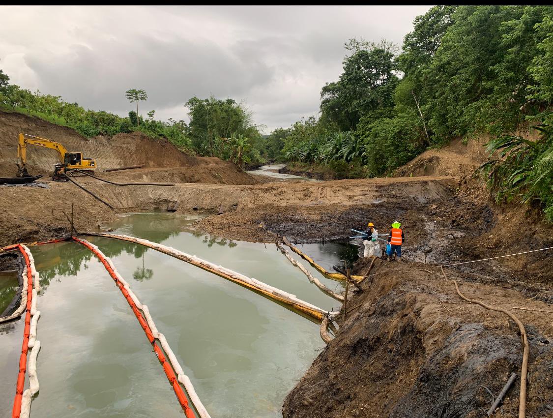 PROWEBST NEWS tweet media