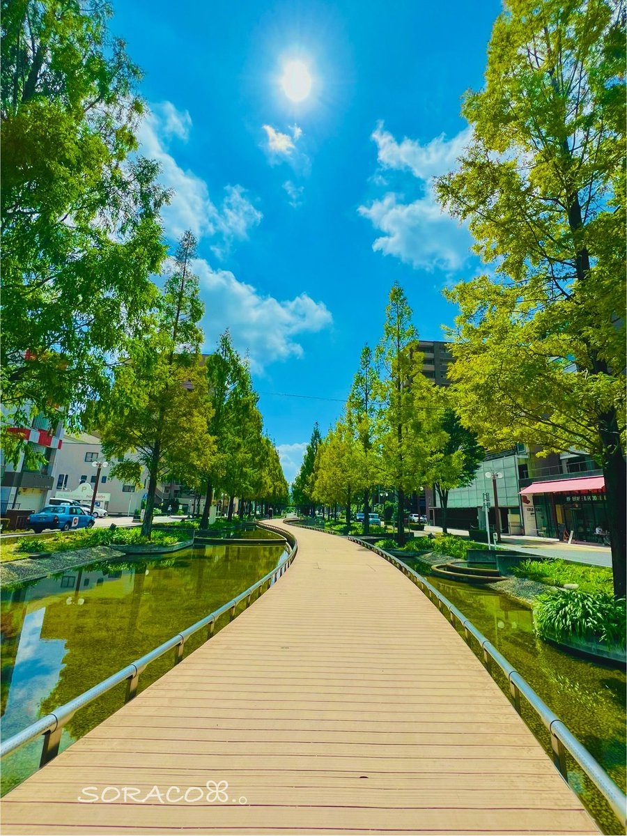 soracosorairo's tweet image. #歩きたくなる１枚ください
#iPhone13Pro