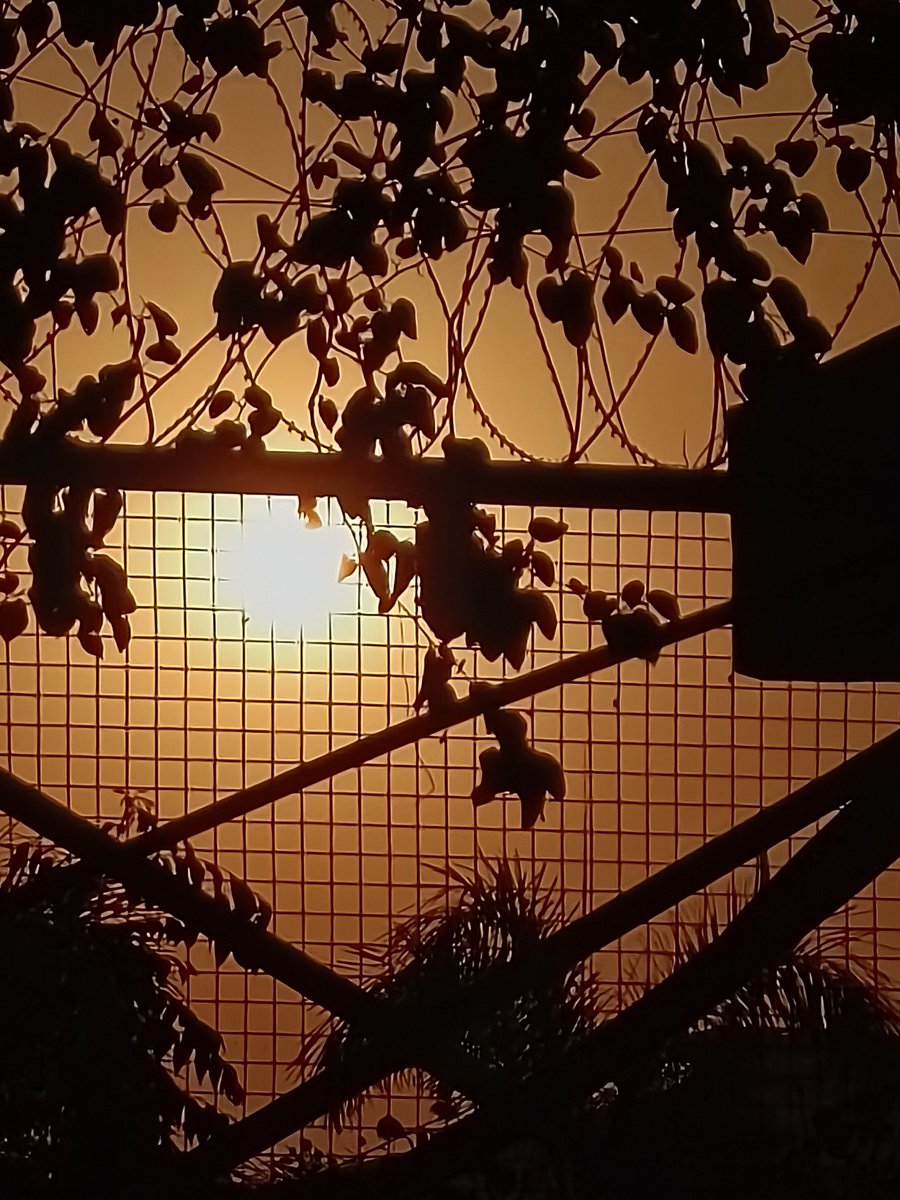 craving_demon's tweet photo. Today’s photo theme is: Over the fence. 💚🌲⛅️

#Overthefence https://t.co/WnPn66ecoj