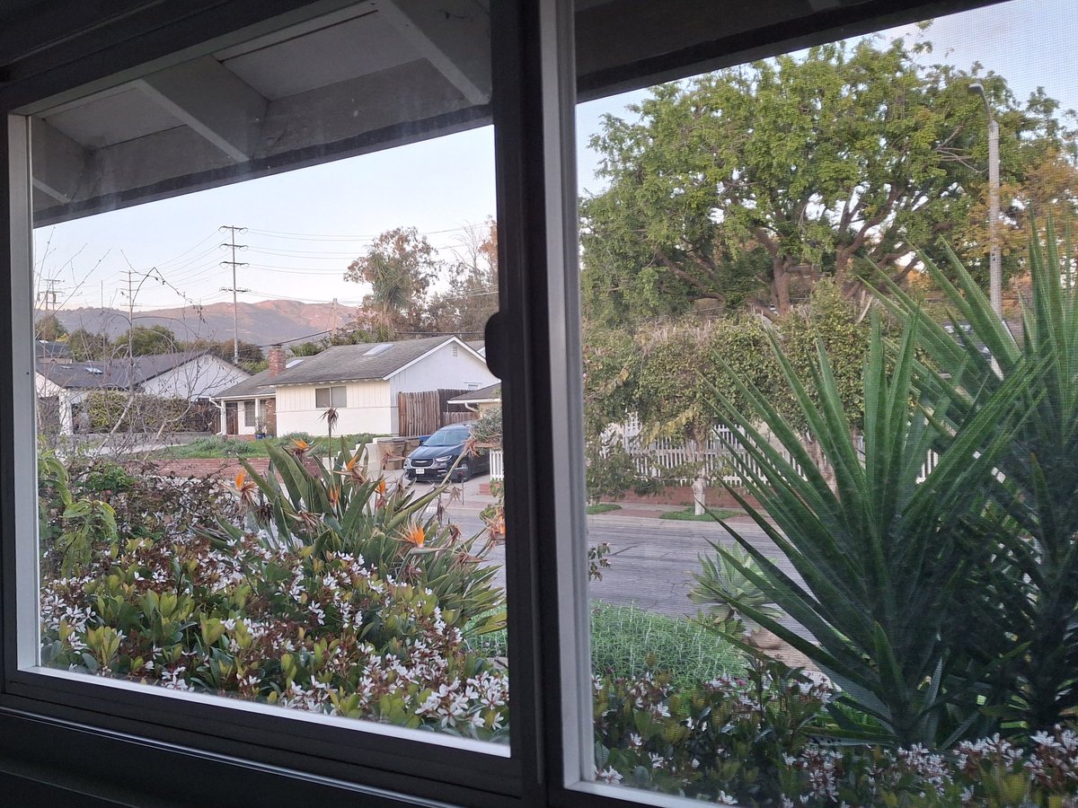 Starting to look like spring in SB