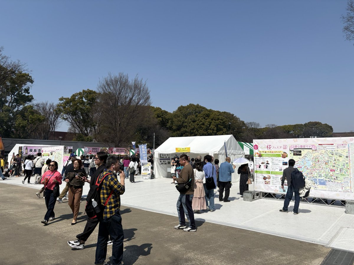 mii000288's tweet image. 上野〜✨
少しだけ桜咲いてたよ🌸
やっぱり日本人は桜見ながらお酒だよね😆