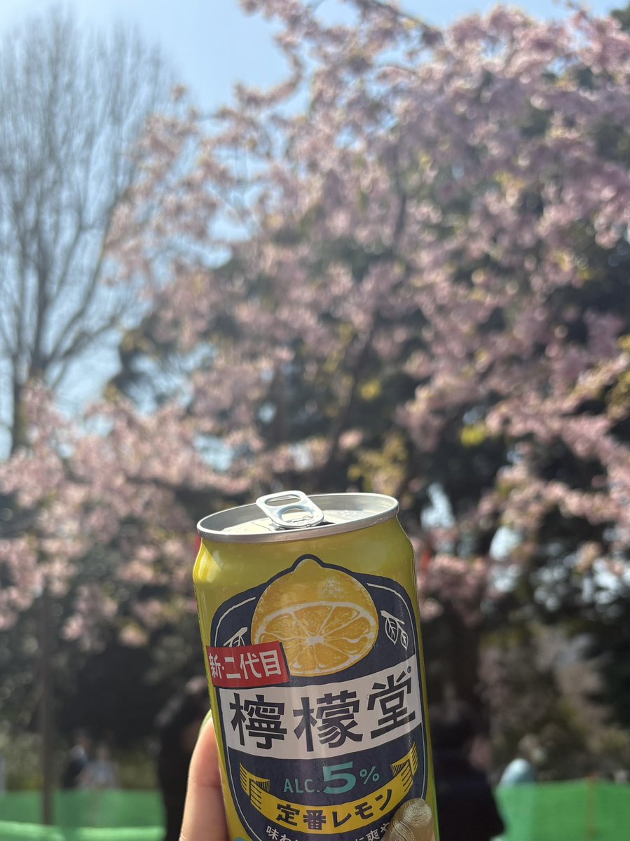 mii000288's tweet image. 上野〜✨
少しだけ桜咲いてたよ🌸
やっぱり日本人は桜見ながらお酒だよね😆
