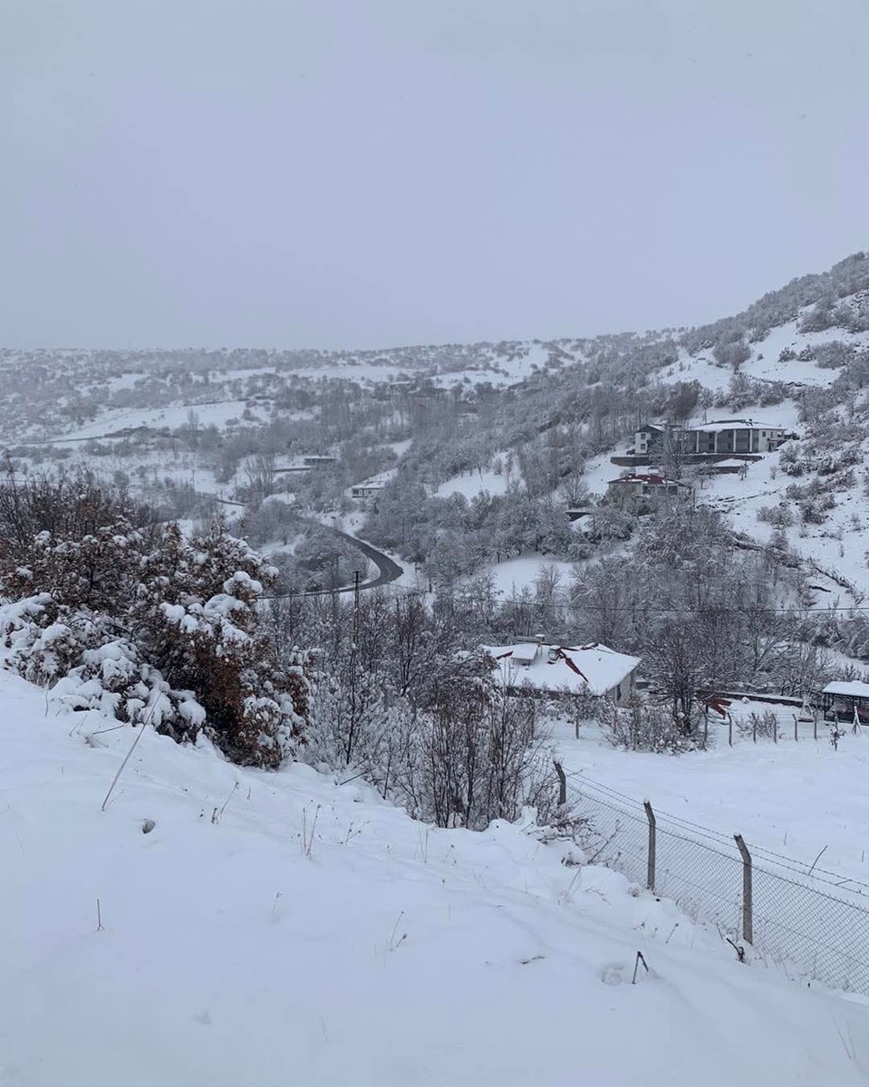 Günaydin mutlu pazarlar..