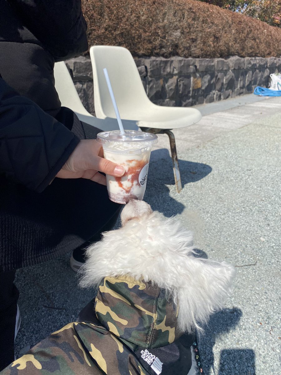 APbUZ0BBTSG2tlU's tweet photo. せんだい農業園芸センター🌸
#cafethemaple
さん来るとの事だったのできてみました☺️ https://t.co/rN9Isw2Q7I