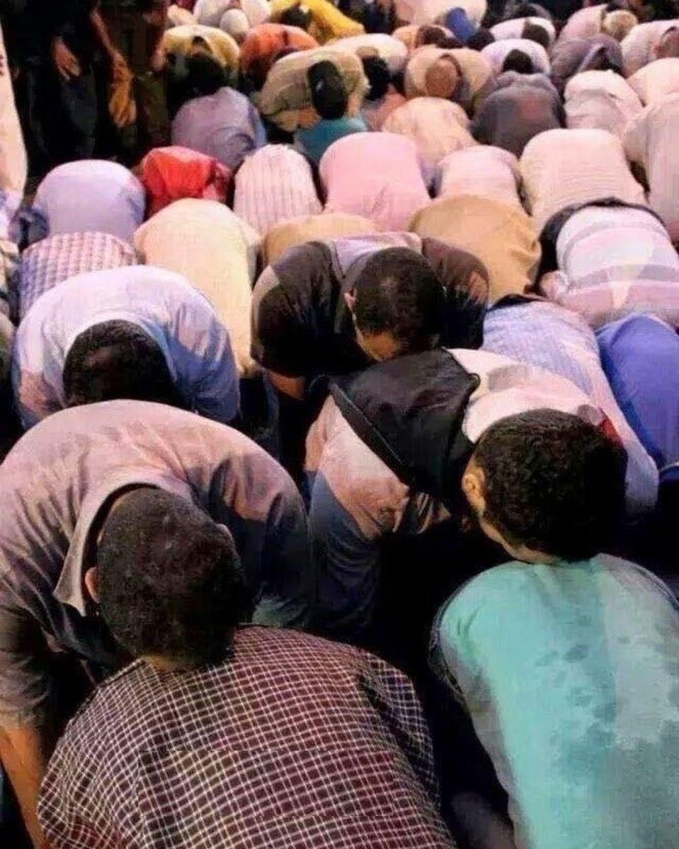 DShu91's tweet photo. Sunnis prefer praying on ass https://t.co/8qLIWZVOMg