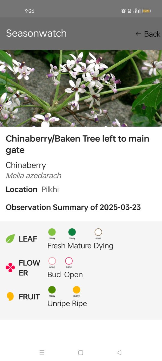 Shyam PHARTYAL; #1stGen MS/PhD; Seed Ecologist🌰🌱 tweet media