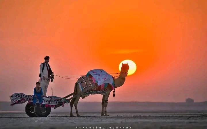 اوم نمو, هم ڀوم نمو
ترجمو: ماڻهن خدا کي پوڄيو ۽ اسان ڌرتي کي پوڄيو. 
#NoMoreCanalsOnIndus