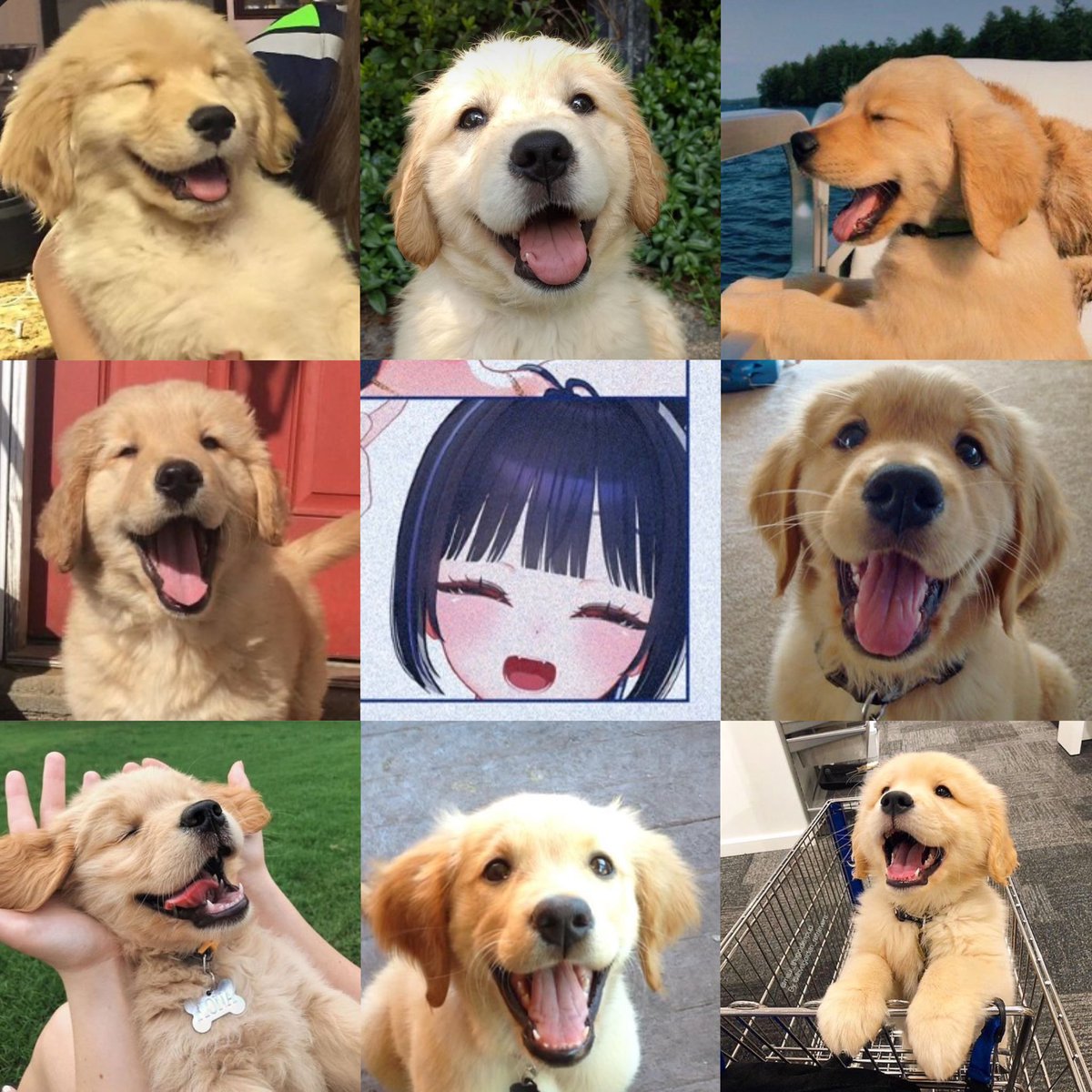 cocho224's tweet image. 오늘 국제 강아지의 날이야?!
아무래도.. 릴파가 축하 받아야할듯