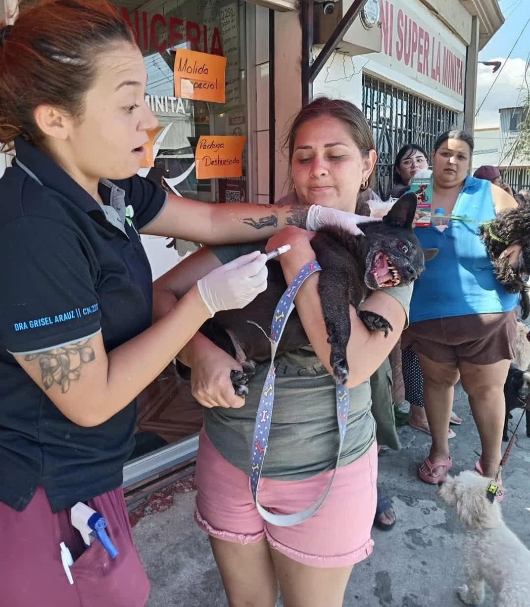 No digas nada 🔁 😂 tweet media