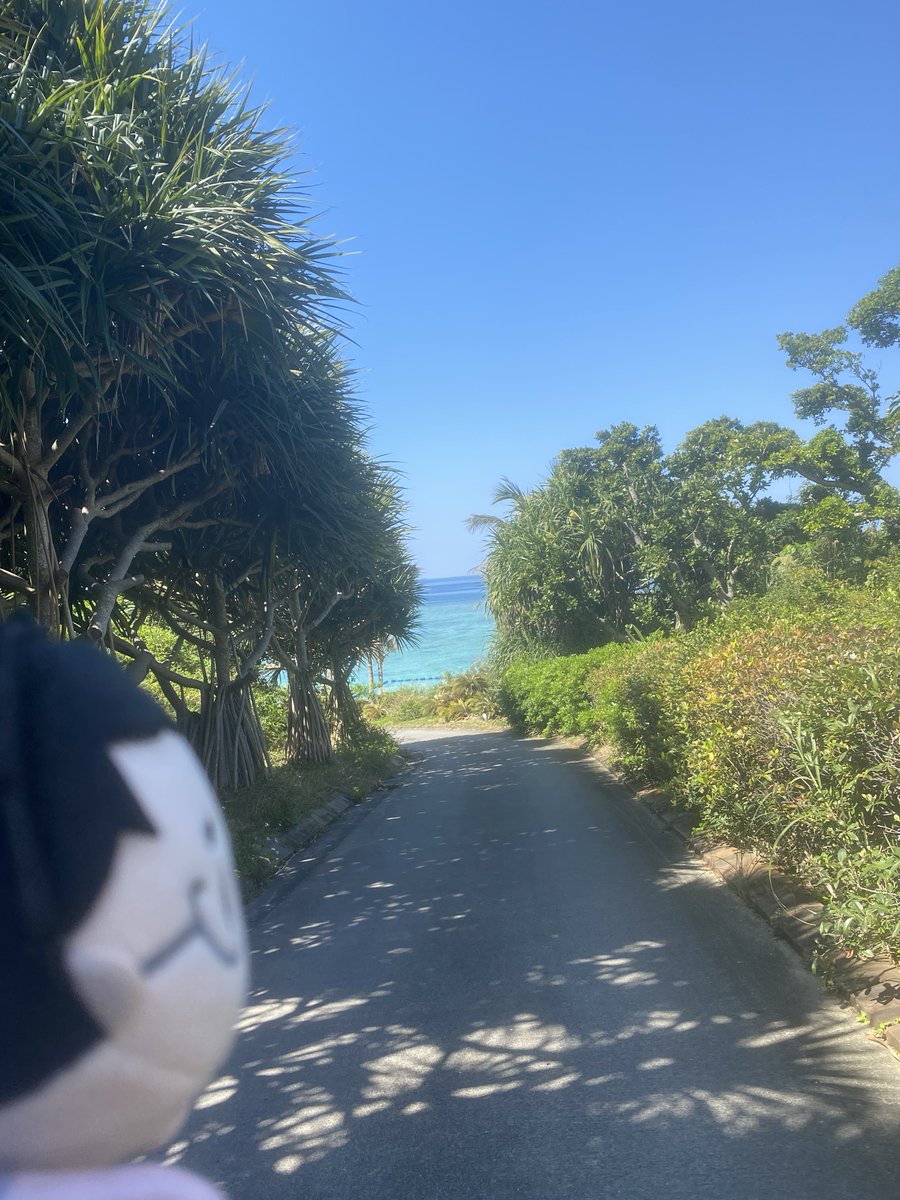 omisotter's tweet image. きれいだねえ☺️🩵💙