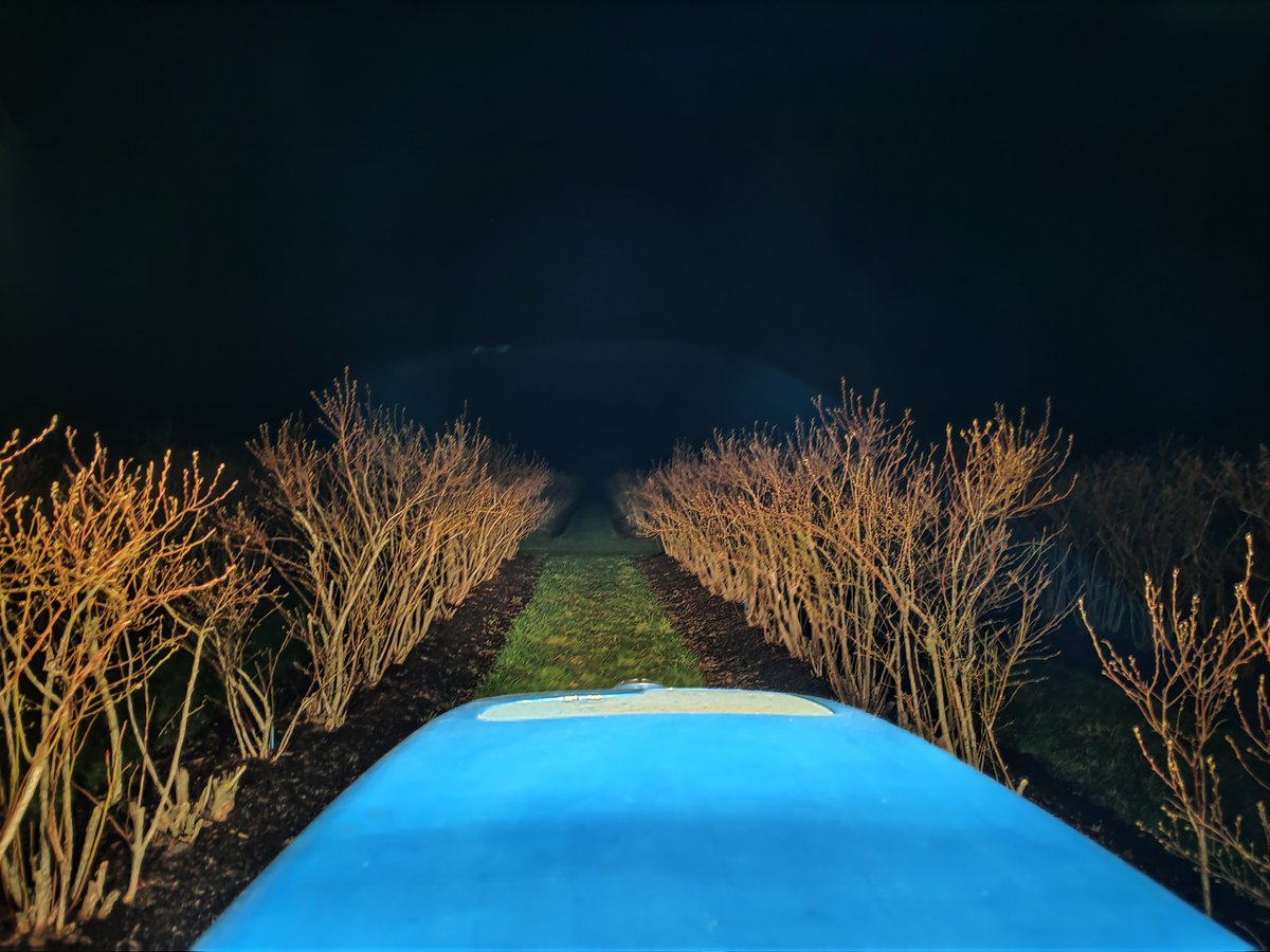 Waarom nou zo midden in de nacht? 

De bacteriën die we spuiten zijn behoorlijk gevoelig voor uv licht. Snachts is het middels dus effectiever. 

De wind is minder aanwezig, dat geeft minder drift ofwel verwaaiing naar de omgeving. 

De rupsen komen vaak in de avond tevoorschijn.