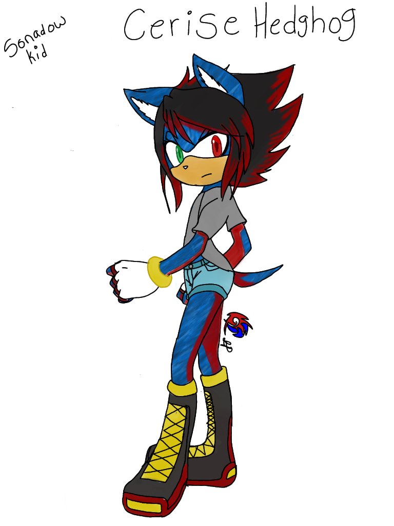 My old sonic of 
Meet Cerise daughter of Shadow and sonic
I can't decide what color I want her help me decide 
1 or 2