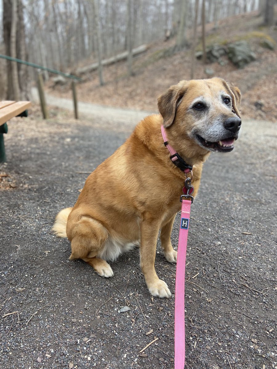 Joanne Marie HD tweet media