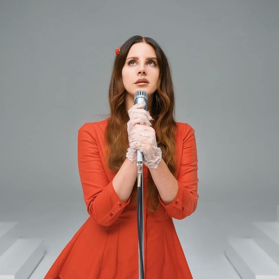 LDR Info! tweet media