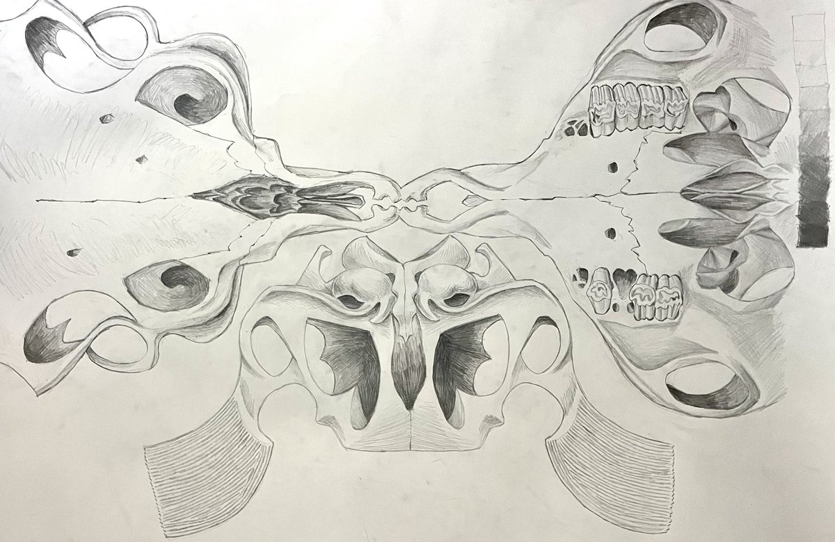CATAC0L's tweet photo. shit from art school🕊️ https://t.co/BrlVSsgt2h