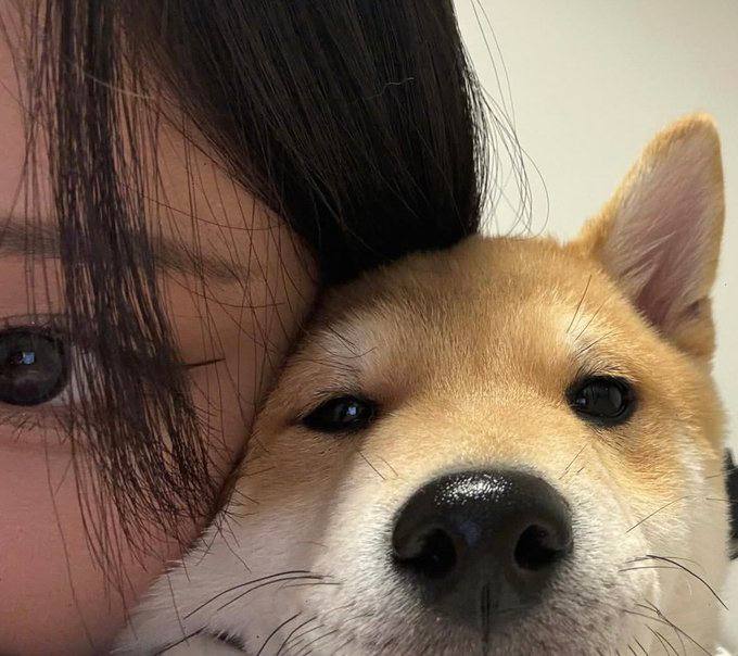 #충북 #옥천 뚜비야 여기보세요 ><