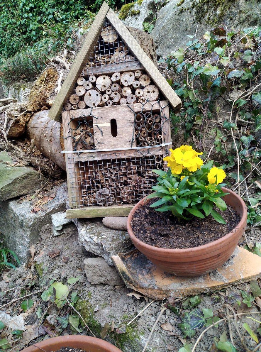 Earthfriend21's tweet photo. Guten Morgen und einen schönen #Sonntag 🌞aus #BadenWuerttemberg 👋🙂👍❣️ Insekten- Hotels sind alle fertig am Start, jetzt können 🦋🐞🪲🐝 kommen 😉 #Gartentweet https://t.co/SkDxZujQie