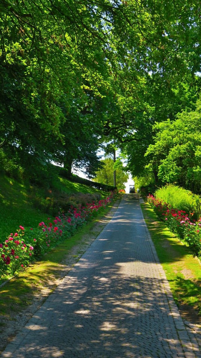 kingbrain's tweet image. The morning sun kisses the earth, awakening the world to endless possibilities #MorningGlow #NatureAwakens