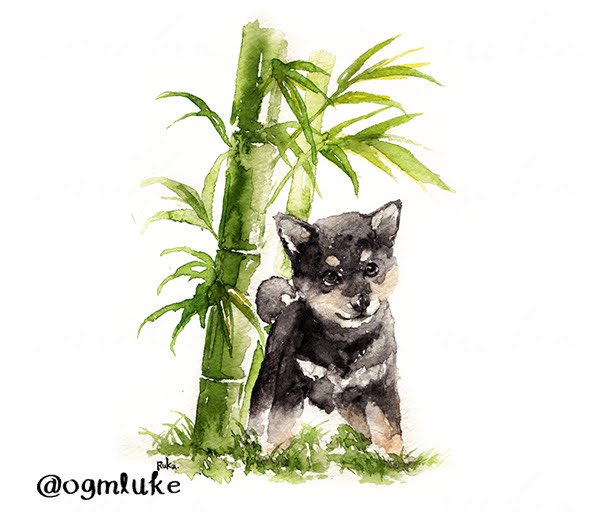 ogmluke's tweet photo. 義弟が犬���飼うかもということでどんな子が来るのかワクワクしている今日この頃
#世界子犬の日 https://t.co/T5eagEVH0q