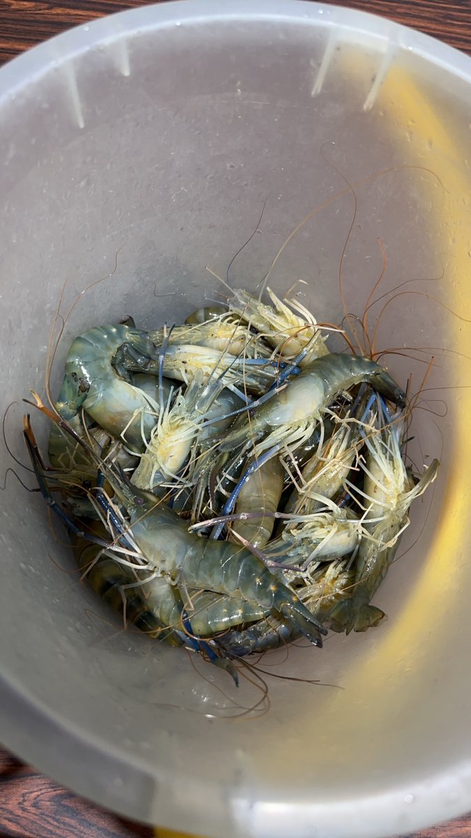 晚點有沒有夫妻、情侶或單女一起來釣蝦吃蝦同樂的呀～ 
#夫妻 #情侶  #單女