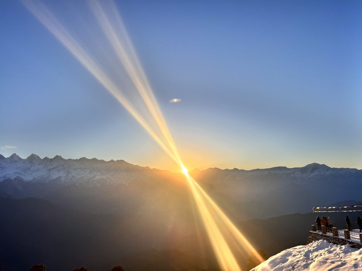 Laura Canevari tweet media