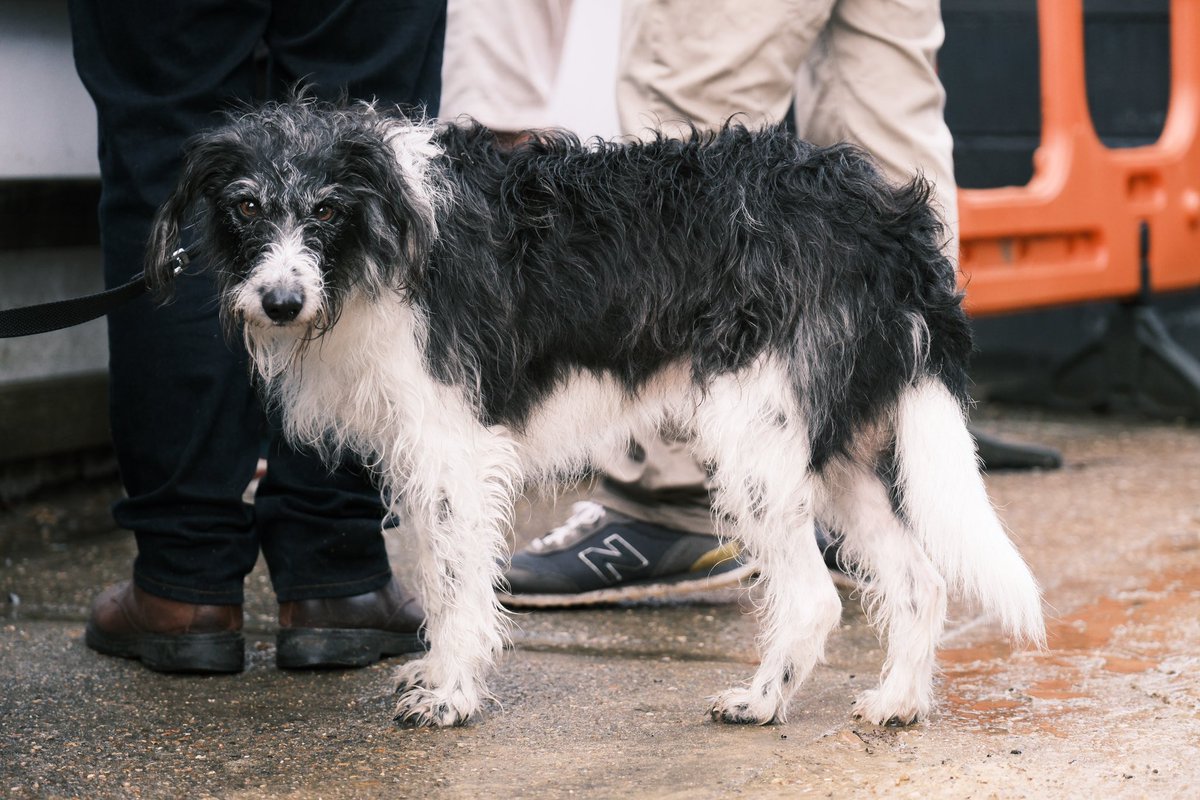 A crazy 40 minute downpour! 

Thunder ✅ 
Lightning ✅
Rain ✅
Hail ✅
Pints protected ✅✅✅ 🍻 

That’s one <a href="/nonleaguedayuk/">Non-League Day</a> we won’t forget in a hurry 🤣