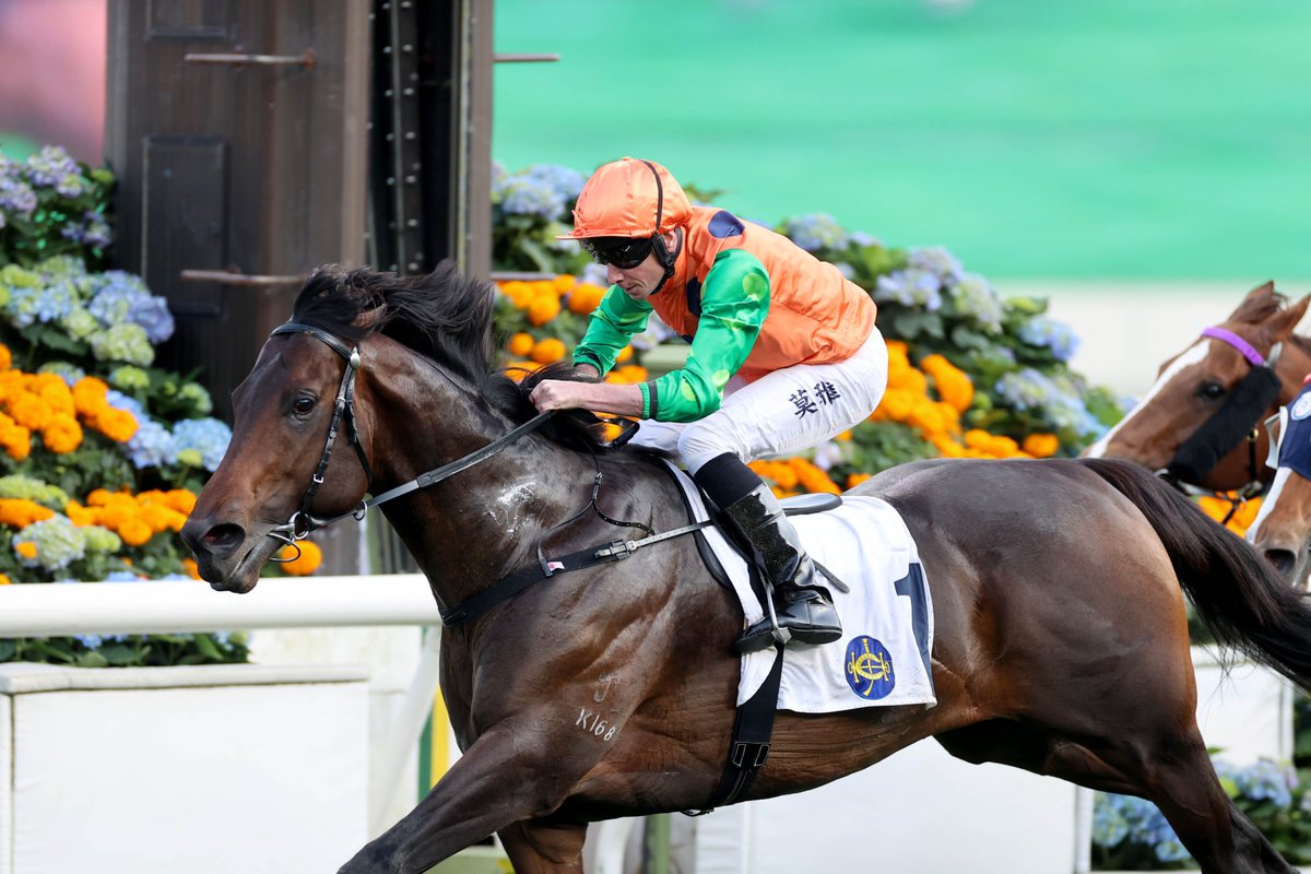 Remember the name, Invincible Shield! 👀

#4YOSeries | #LoveRacing | #HKracing