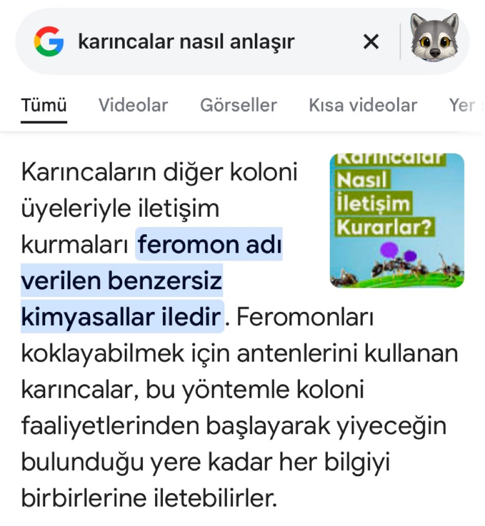 kanka siz gidin benim onemli bi isim cikti