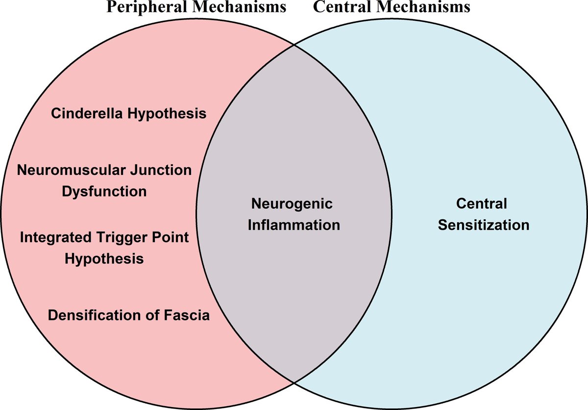 Myofascial Pain Syndrome: An Update on Clinical Characteristics, Etiopathogenesis, Diagnosis, and Treatment

pubmed.ncbi.nlm.nih.gov/40110636/