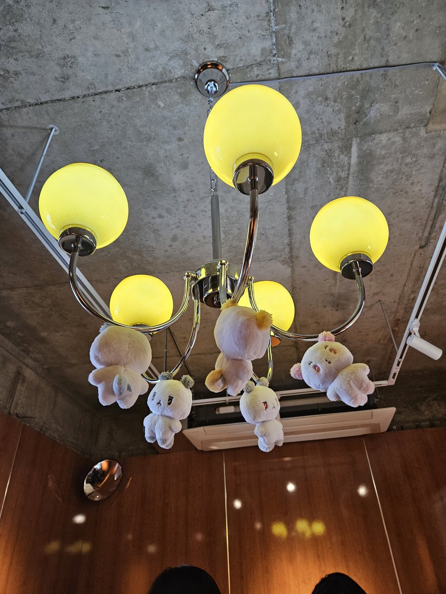 햄복햇따☺️☺️☺️