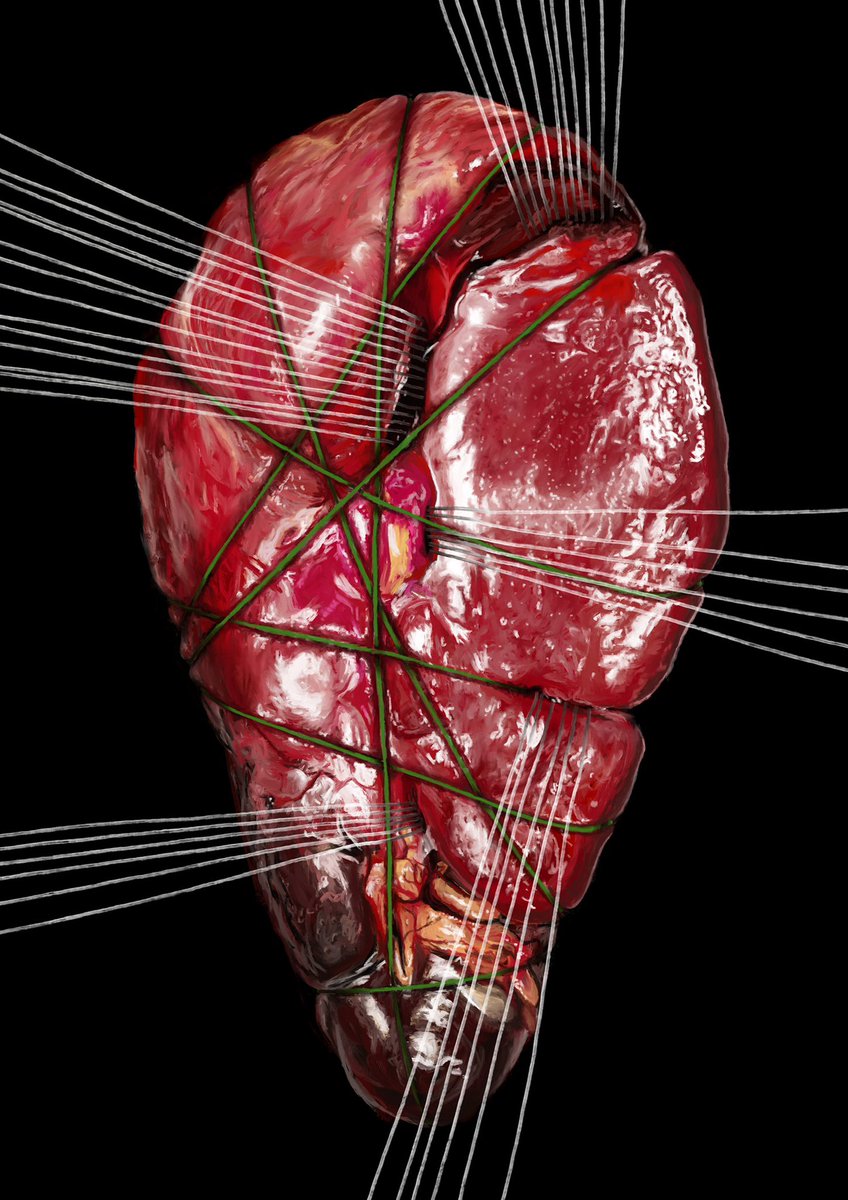 Marinus Cade tweet media