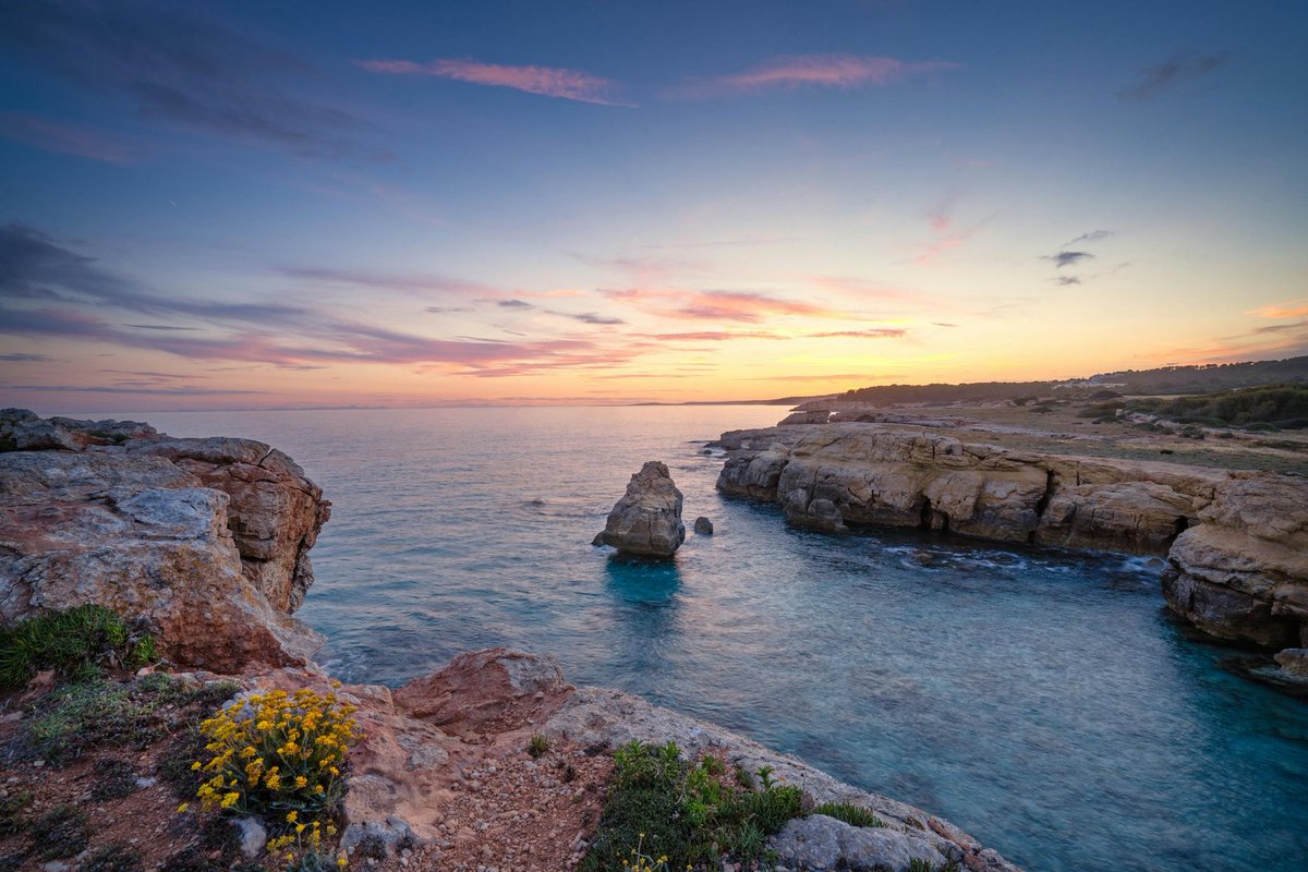 WeberKrist79401's tweet photo. Pasggiata primaverile lungo la costa del Salento. Il sole splende, il mare è cristallino e l'aria profuma di salsedine e fiori. 🌺  Un momento di puro relax! #Salento #Vacanza #Belvedere https://t.co/egPRu6567h