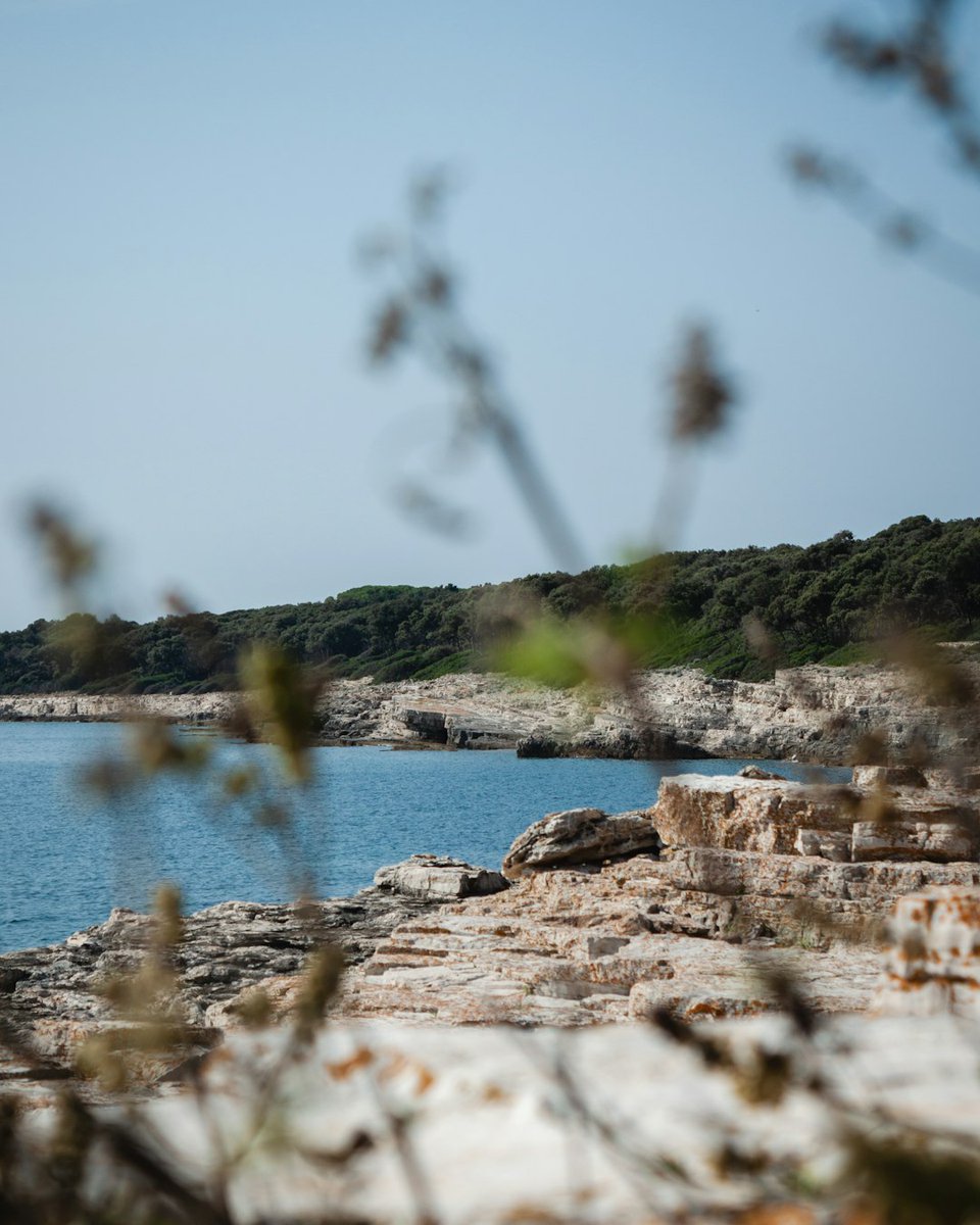 WeberKrist79401's tweet photo. Pasggiata primaverile lungo la costa del Salento. Il sole splende, il mare è cristallino e l'aria profuma di salsedine e fiori. 🌺  Un momento di puro relax! #Salento #Vacanza #Belvedere https://t.co/egPRu6567h