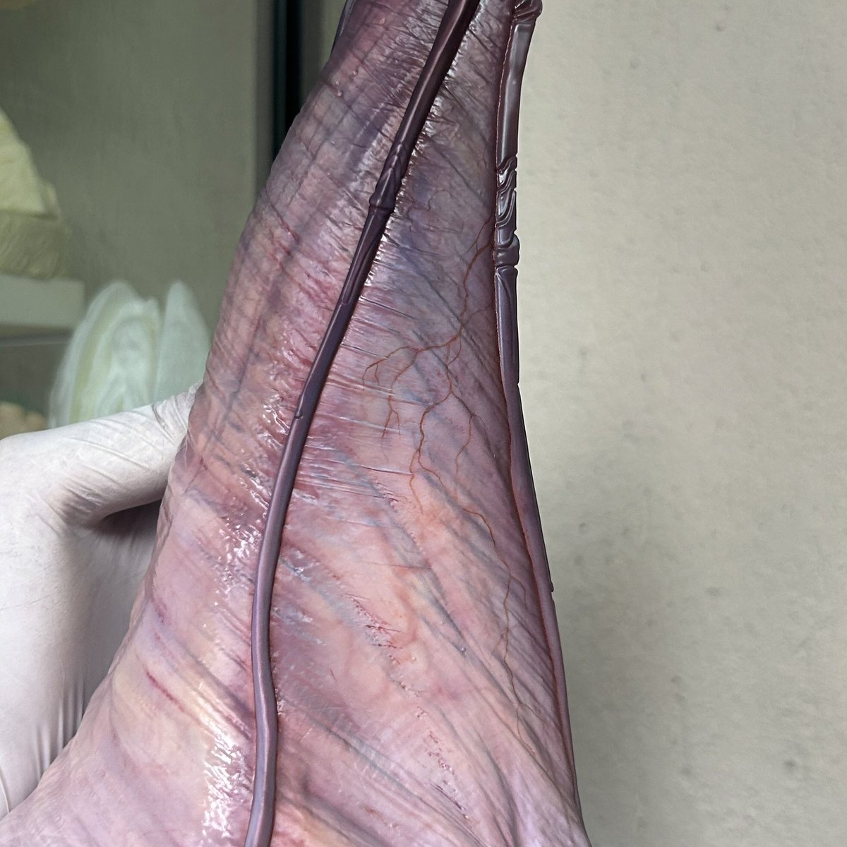 软软酱酱哦依西 tweet media