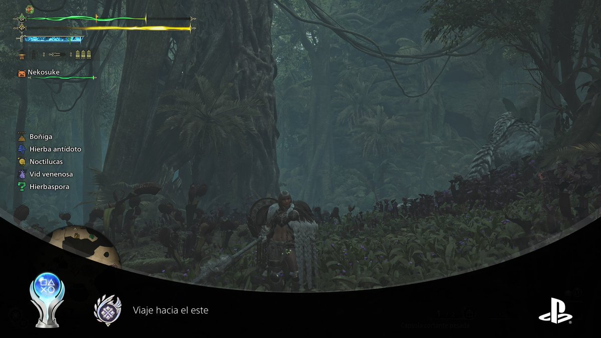 Toresuke's tweet photo. Platino Monter Hunter: Wilds conseguido 🫡 #PS5Share @monsterhunter https://t.co/Tu4MwePqGY