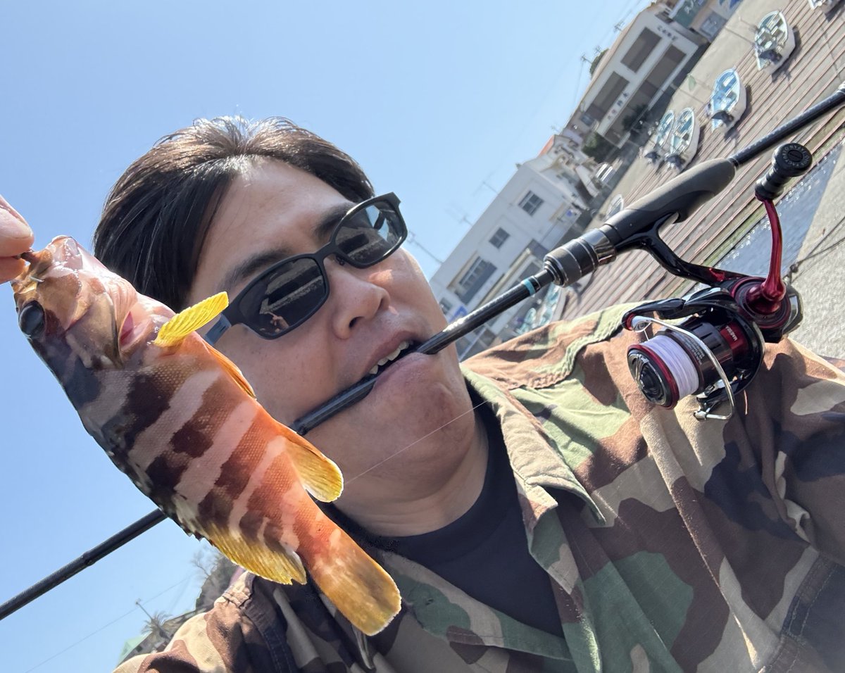 Etna_evoluzion's tweet photo. 釣りメインではない小旅行も
#モンスターキス
#ディアモンスター
#shinkirow
で、いつでも釣りが楽しめる
自分は
#ライトクルーズ
で大小カサゴやアカハタ
餌取小物は
#mx_1
ならメインターゲット
釣り上手な友人は
#ソガイニー
突然のゲストのブダイにもパワー負けせず4lbsフロロでも無事ゲット https://t.co/8ALeF1l6ks