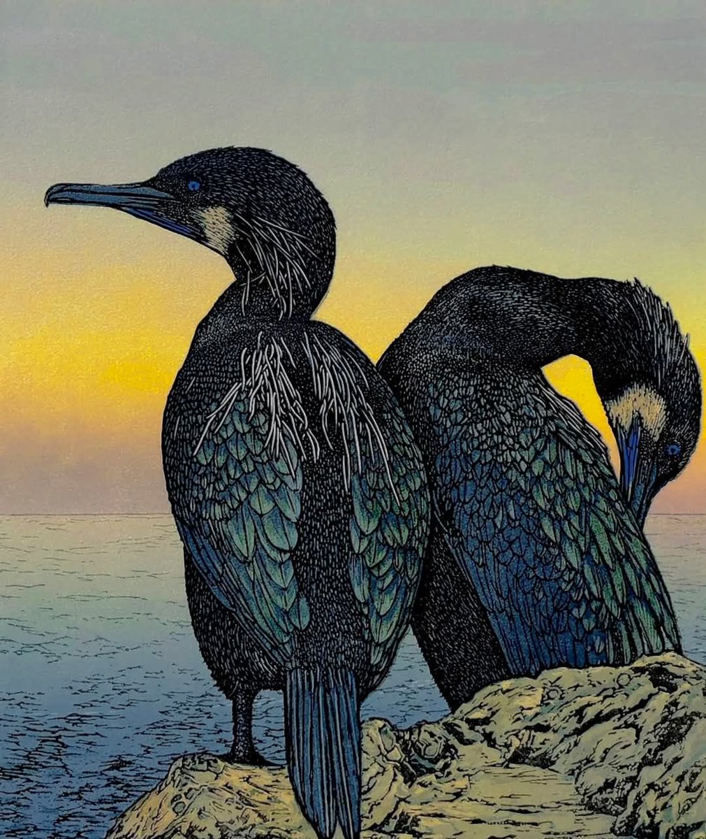 Monique Wales (thx #fraveris)