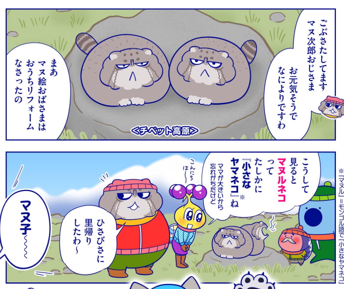 マヌ子ママの親戚では、マヌ次郎おじさまとマヌ絵おばさまもユキヒョウ回に登場してます
さすが親戚、そっくりねェ〜

https://t.co/PMBHkl6Qgg 