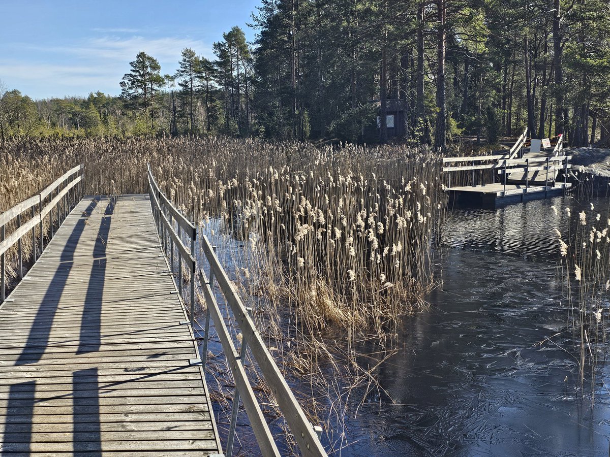 PeltolaPeltsi's tweet photo. Tässä esimerkki miten ei toimita. Kansallispuistossa sillassa olematon ongelma. Silta käydään laittamassa poikki metsähallituksen toimesta, ehkä koko kesäksi. Kiukuttelu rahojen vähentämisestä ei voi kohdistua näin! Ryhtiä nyt @MetsahallitusL @Metsahallitus #Mathildedal #Teijo https://t.co/aMfCaCZsZW