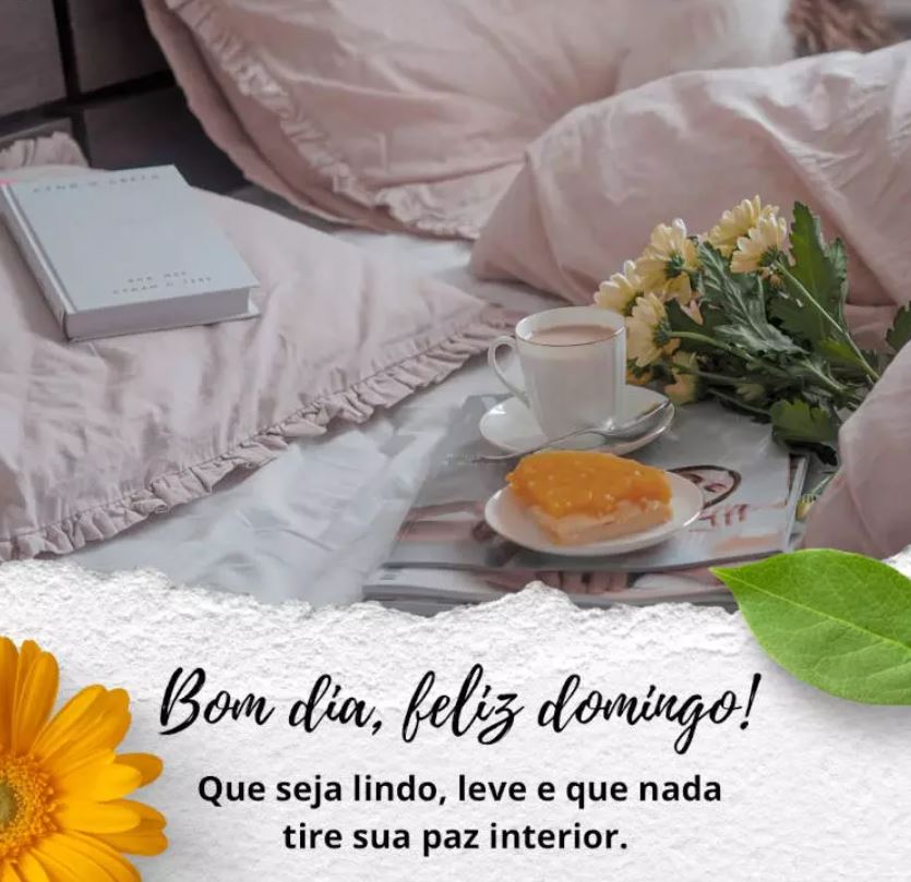 Bom dia amigos Patriotas! 🇧🇷
Passando cedinho por aqui para desejar-lhes um feliz domingo, cheio de paz e alegria.
#DomingoPatriótico
#DomingoPazEAmorSDV