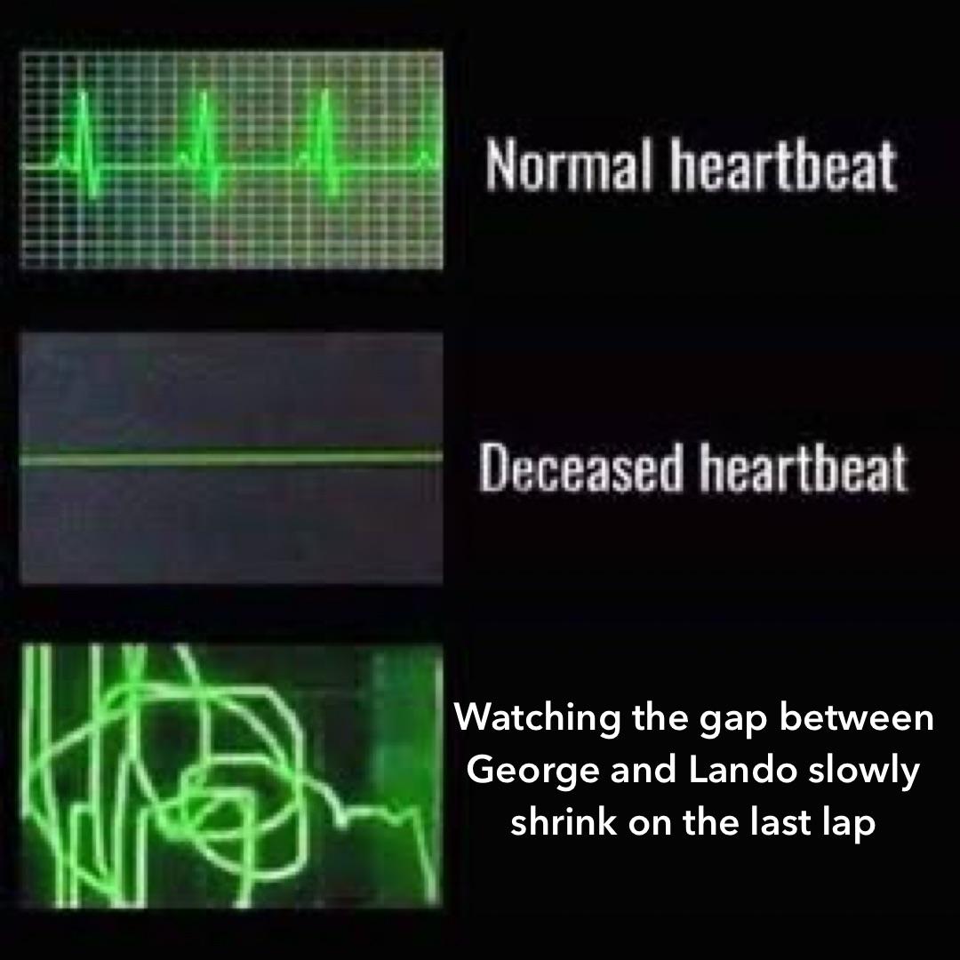 F1 TROLL (@f1trollofficial) on Twitter photo 