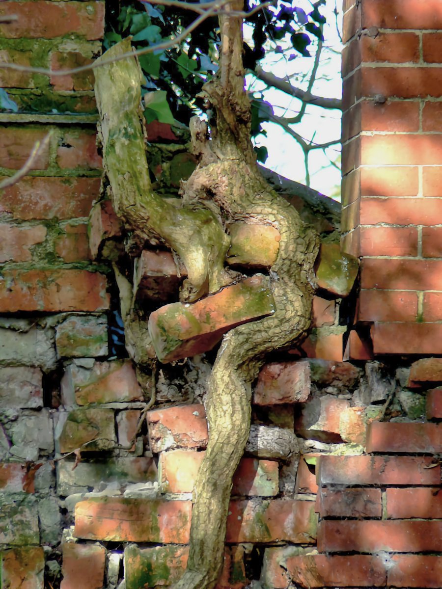 Andykerr1961's tweet image. From about 15 years ago- these buildings were at the back of the Hayloft on Southport Road Lydiate but I'm not sure if they're still there today 1/2

#lydiate #lydiatechapel #maghull