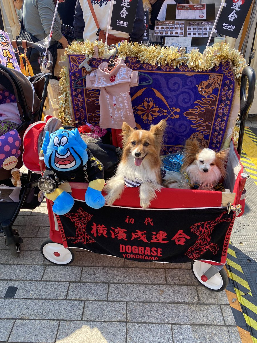 rinrinetuko's tweet photo. 横浜の赤れんが倉庫でわんさんぽのイベントがあったので行ってきました。
暑いくらいの日でしたが楽しい1日を過ごせました。お世話になってるなっちゃん号にも乗せていただきました。 https://t.co/3qrn2OwLJC