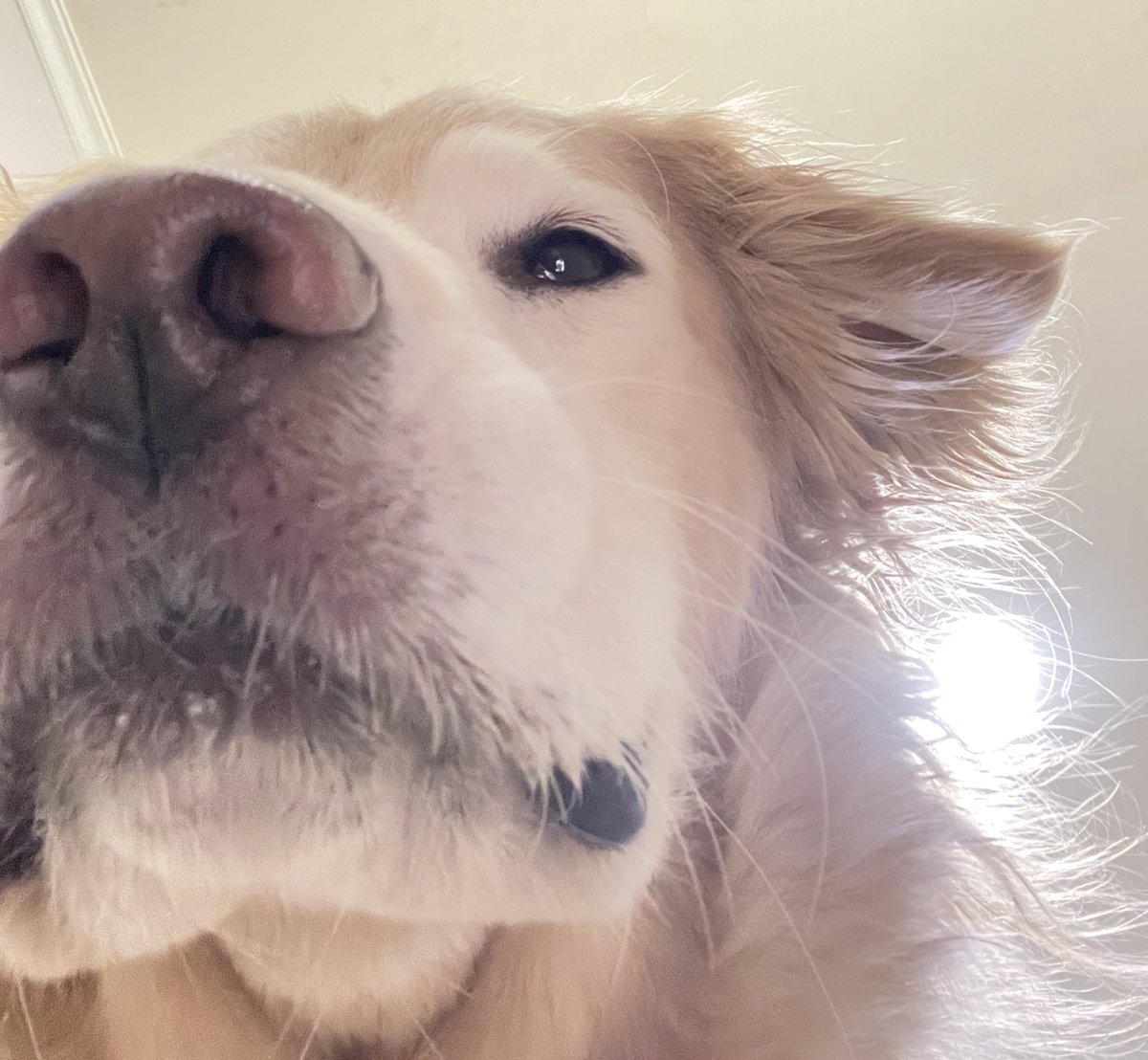 ruby_sm_'s tweet image. 