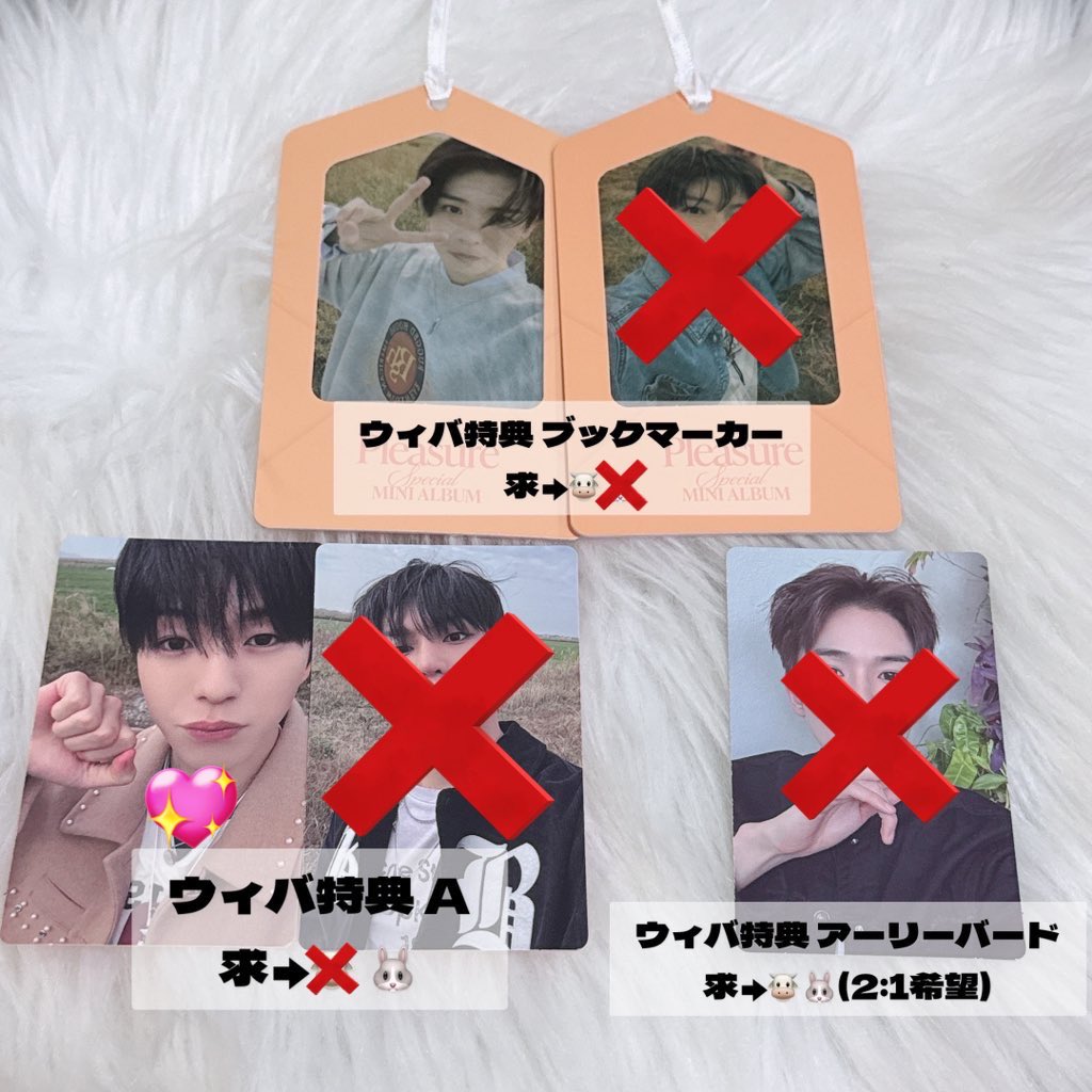 dihone_2's tweet photo. @k_ota613 初めまして、検索より失礼致します。当方画像の💖のジェヒョクを所持しておりますが、同種ドヨンとの交換は可能でしょうか？ご検討いただけますと幸いです。 https://t.co/imEB5NGxDt