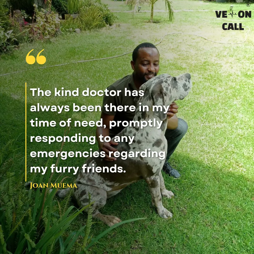 vetoncall's tweet photo. Our mission is to bring joy to pet owners 🐶🐱 by making pet ownership a delightful experience. This means being there when they need us most—ready to answer every distress call 📞 with care and expertise. ❤️
#itsvetoncall #vetsinnairobi  #pets #cats #dogs #customer #fyp #fyp https://t.co/75O8Jk3ESI