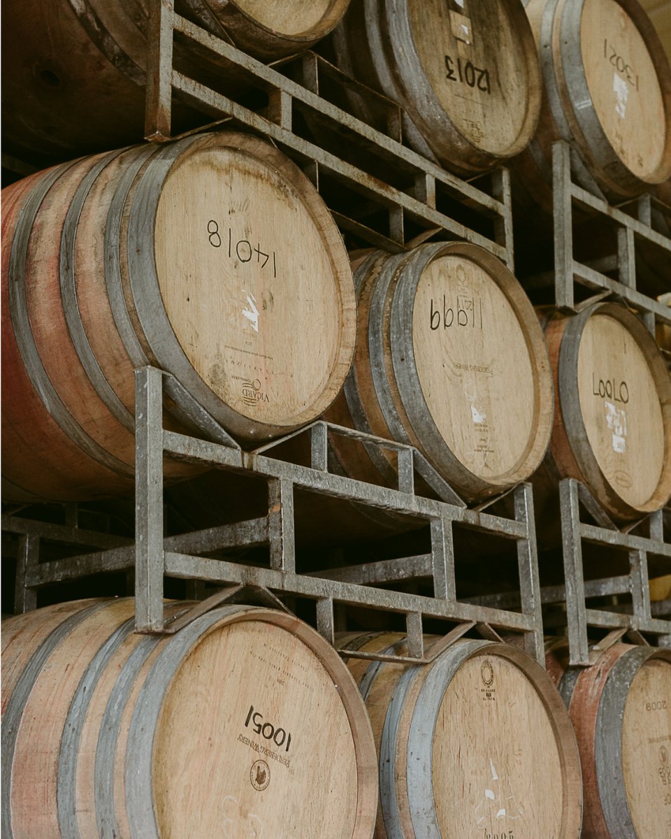 Barrels aren’t just about tradition - they play a key role in how wine develops. The oak helps soften tannins and adds complexity, allowing the wine to evolve and reach its full potential. It’s a careful, patient process, but the results speak for themselves.
