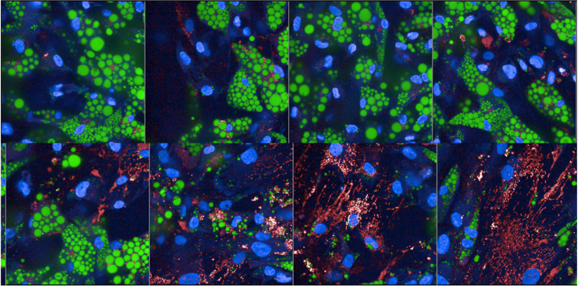 Event registration link: Eating competence research seminar 4.6.2025 - mailchi.mp/c0a277b44b6c/s…
