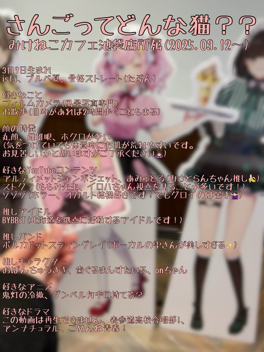 さんご@みけねこカフェ池袋 tweet media